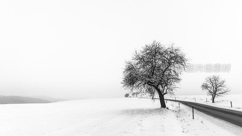 艺术极简主义冬季场景在黑色和白色。16 x9高清率
